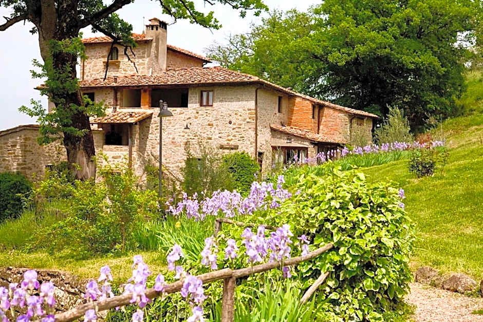 ISA-Farmhouse with swimming-pool in Chianti-area in the middle of Tuscan nature