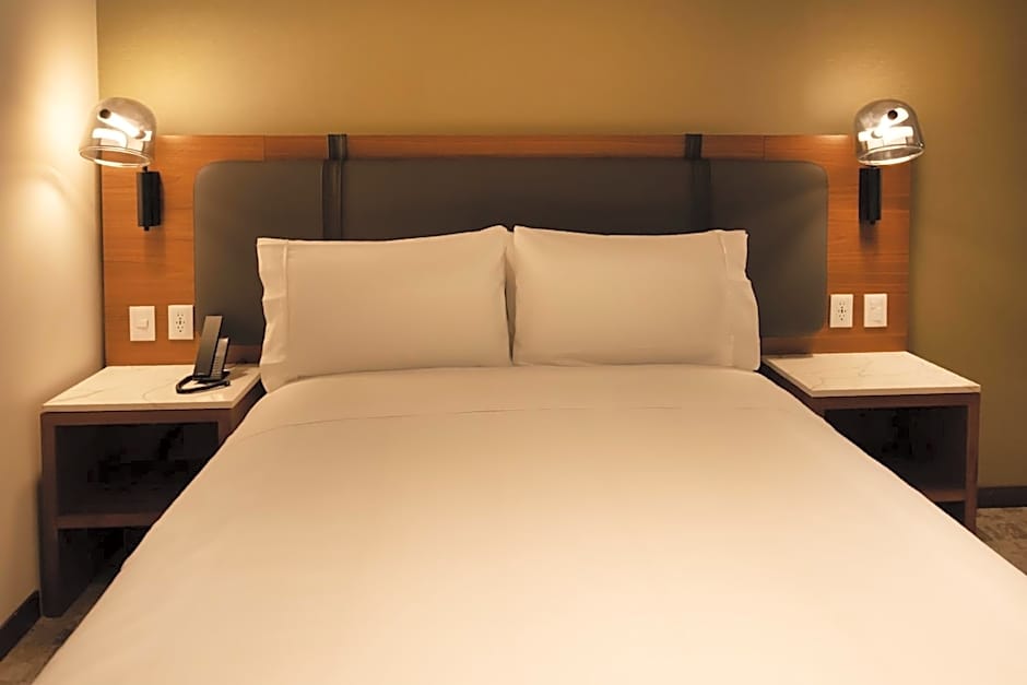 Hilton Garden Inn Mexico City Polanco