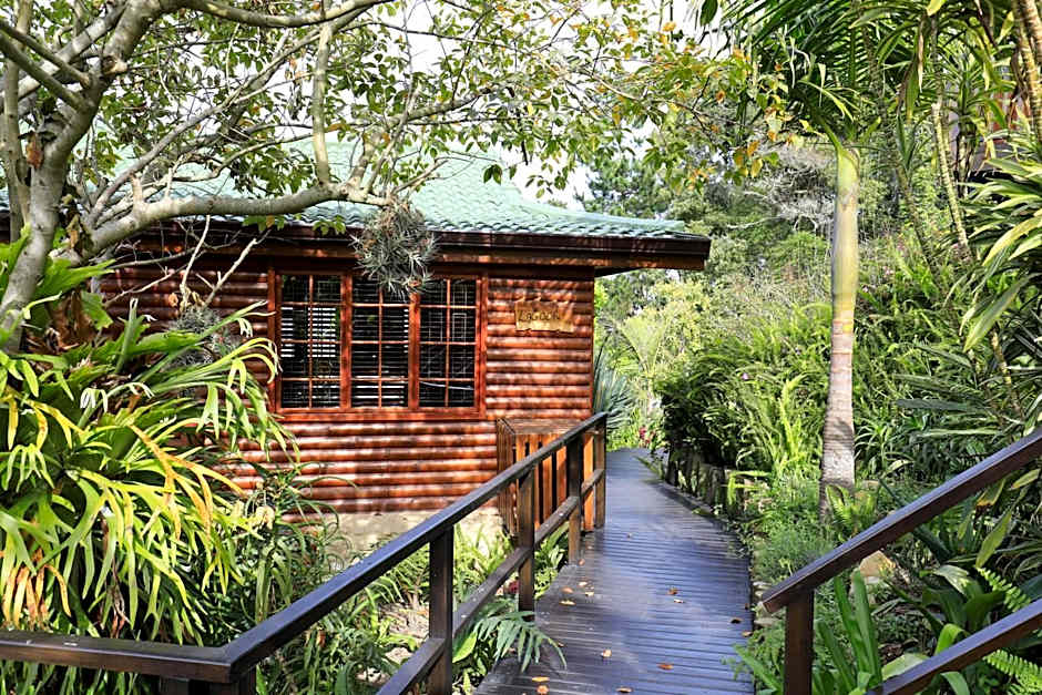 Big Tree House Lodge