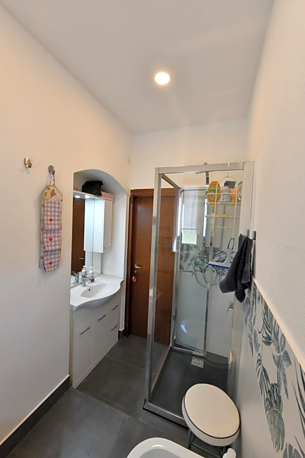 B&B Tredomus