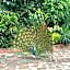 Hotel Boutique Casa de Campo