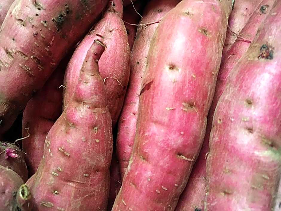 HOTEL MYSTAYS Kagoshima Tenmonkan Annex