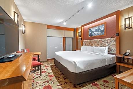 Standard King Room