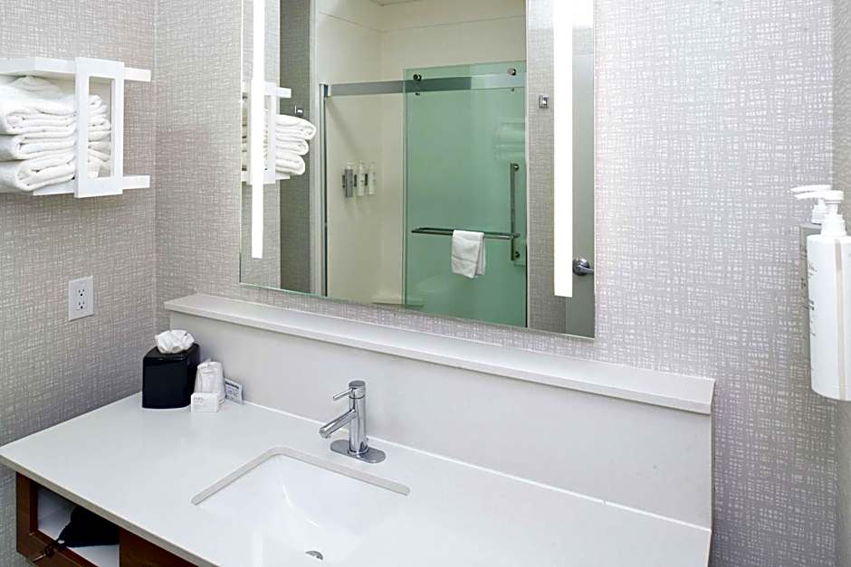 Hampton Inn By Hilton & Suites Greenville