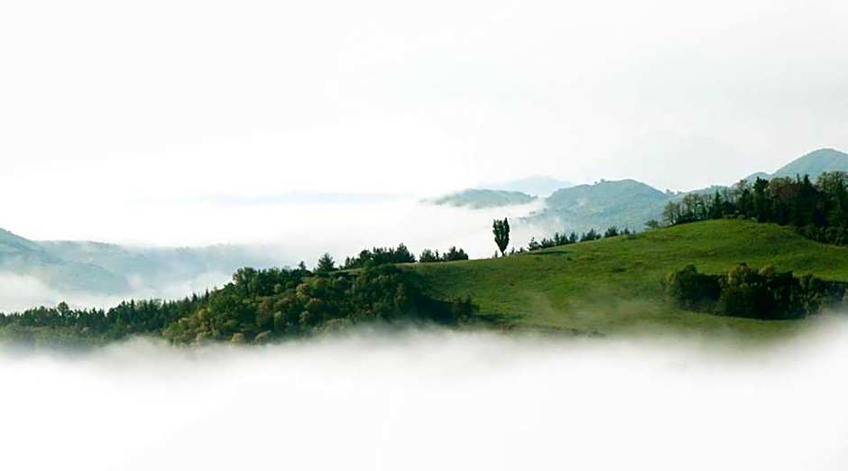 Colleverde Country House & SPA Urbino