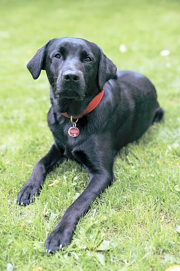 LIHO - einfach Lübeck