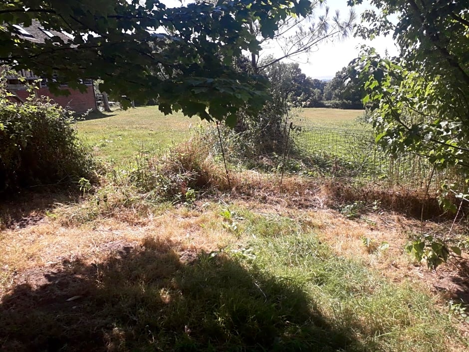 Moaps Farm B&B support small business, welcome, check in from 5 pm