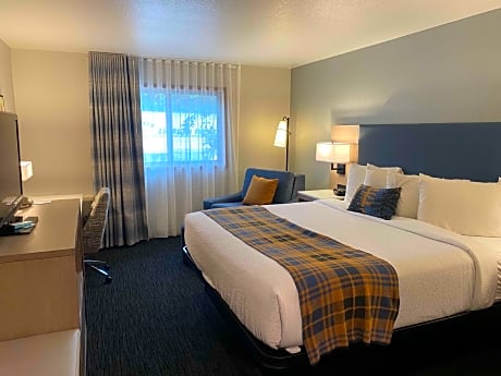 1 King Bed Non-Smoking Sofabed For One Person Work Desk Mini Fridge Wi-Fi Full Breakfast