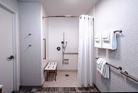 1 King Standard Mobility Accessible Roll In Shower