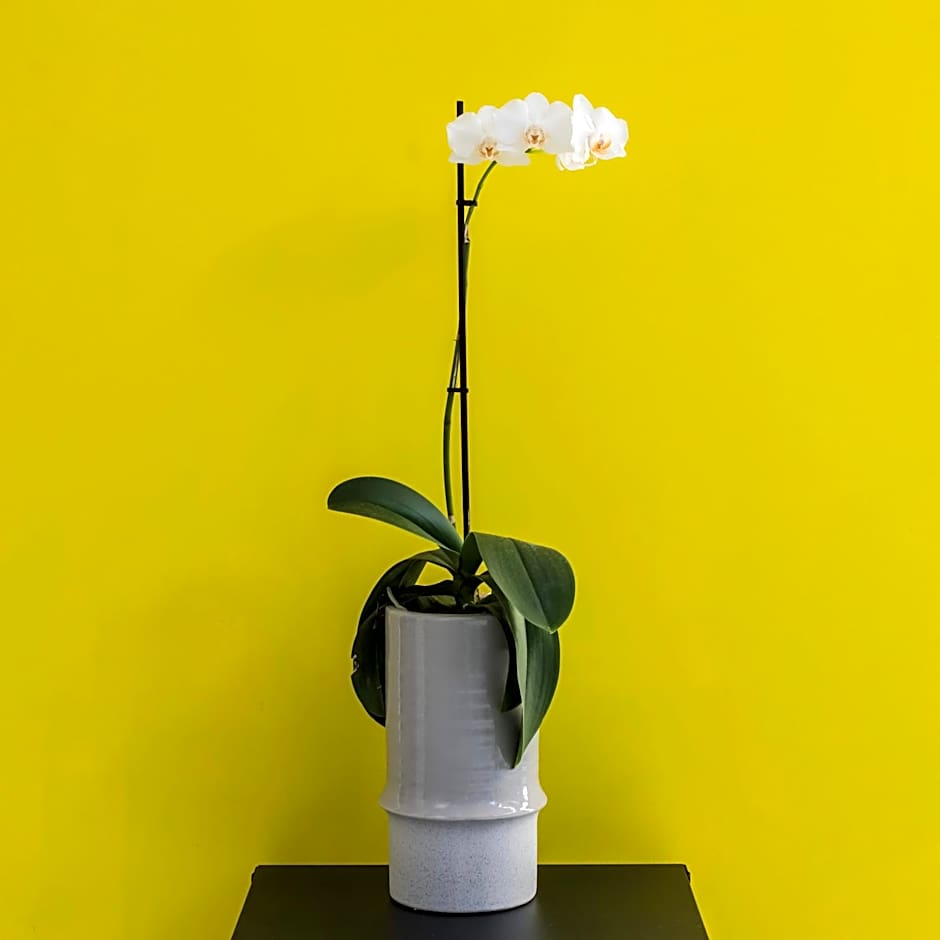 Iasonos Suites Athens