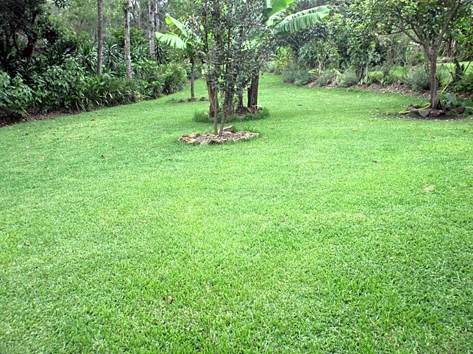 Kilimanjaro Eco Lodge