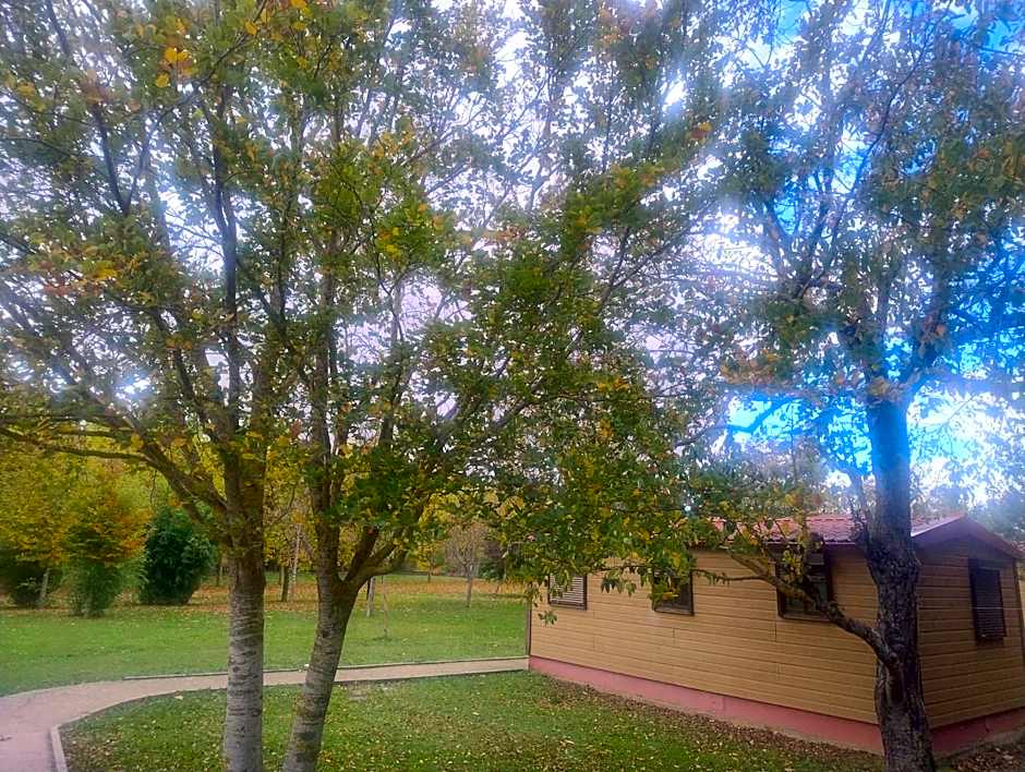 Bungalows Granja Escuela Arlanzón