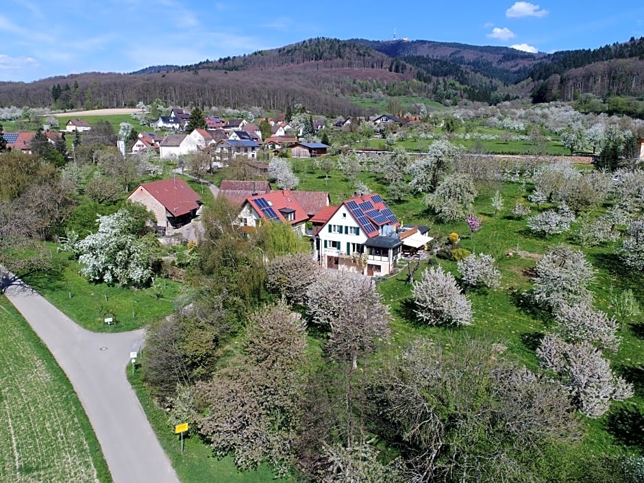 Haus am Blauenbach
