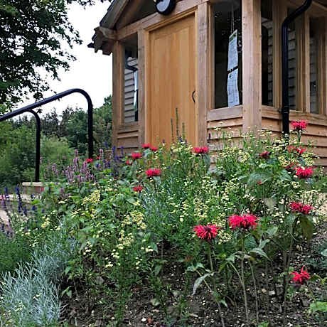 South Downs Eco Lodge & Camping