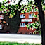 Parkhotel Fischer