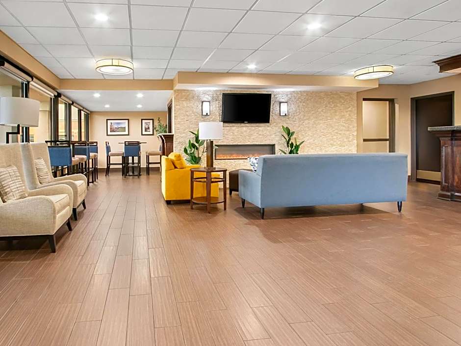 Comfort Inn Detroit Downtown