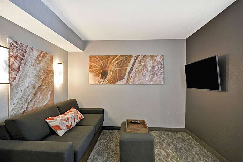 SpringHill Suites by Marriott Indianapolis Airport/Plainfield