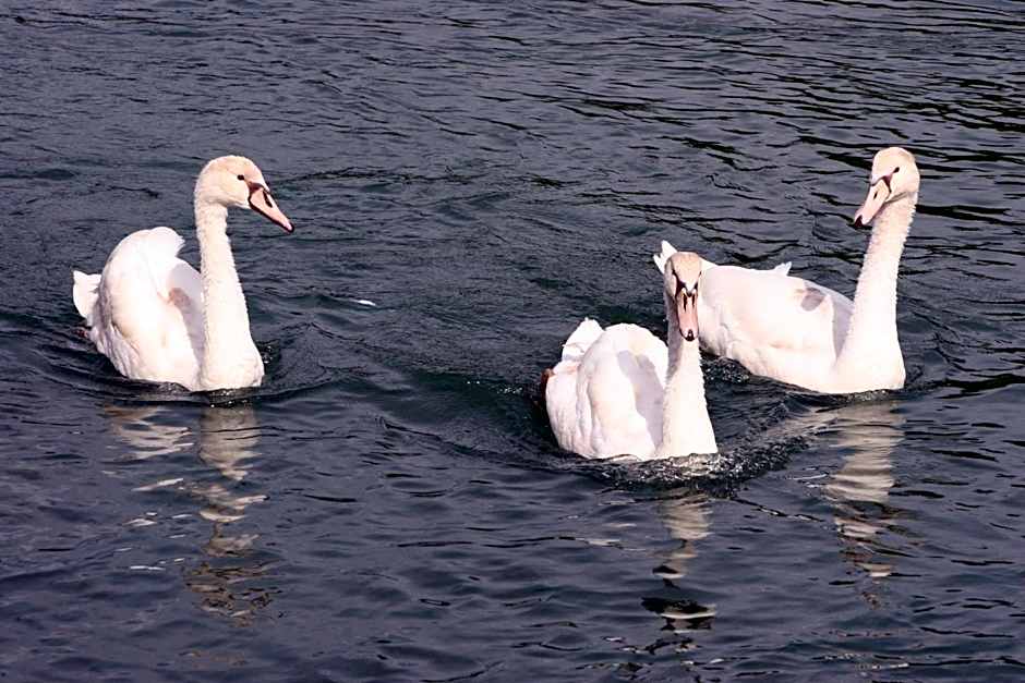 Borgo Ca dei Sospiri