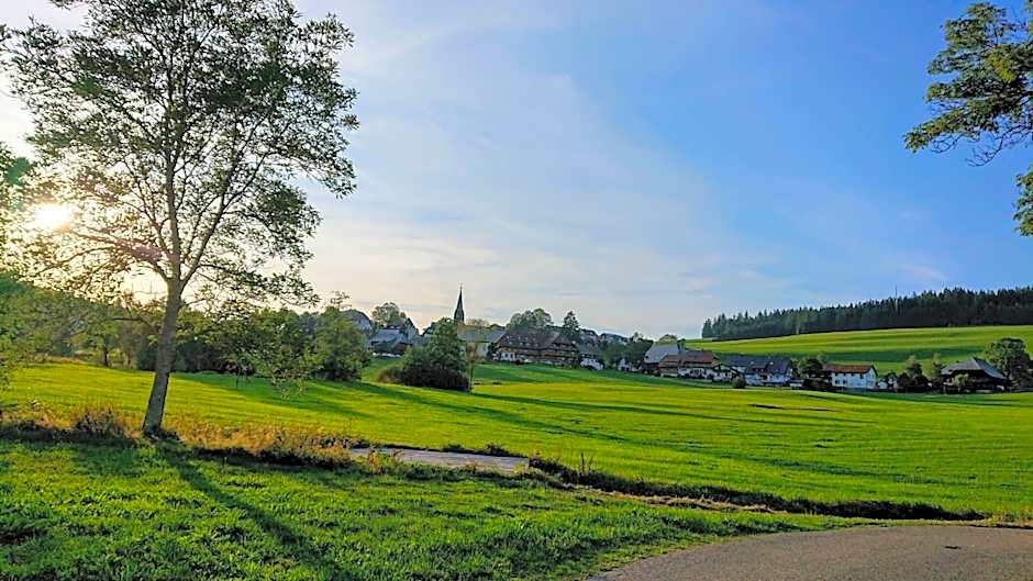 ZUR TRAUBE Schwarzwaldhotel & Restaurant am Titisee