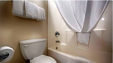 1 King Bed Non-Smoking