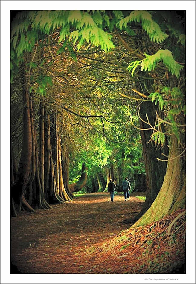 Rosdarrig Bed & Breakfast