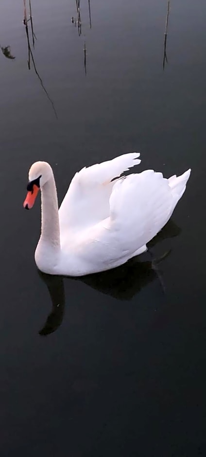 Domek nad jeziorem Bystrzyna