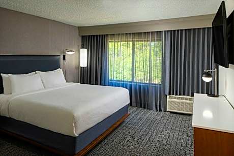 Larger Suite, 1 King, Sofa bed