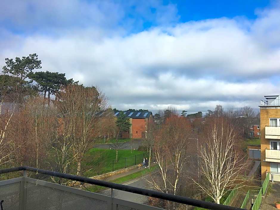 Central Spacious 3 Bedroom Apartment With Parking