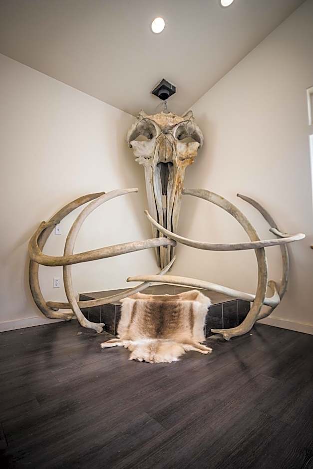 Alaska Glacier Lodge