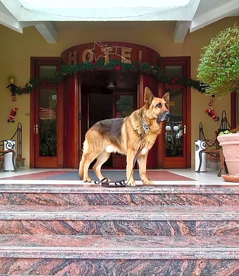 Hotel Ristorante Belvedere