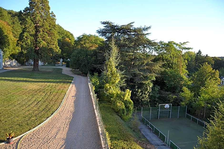 Château de Saint Ouen les Vignes