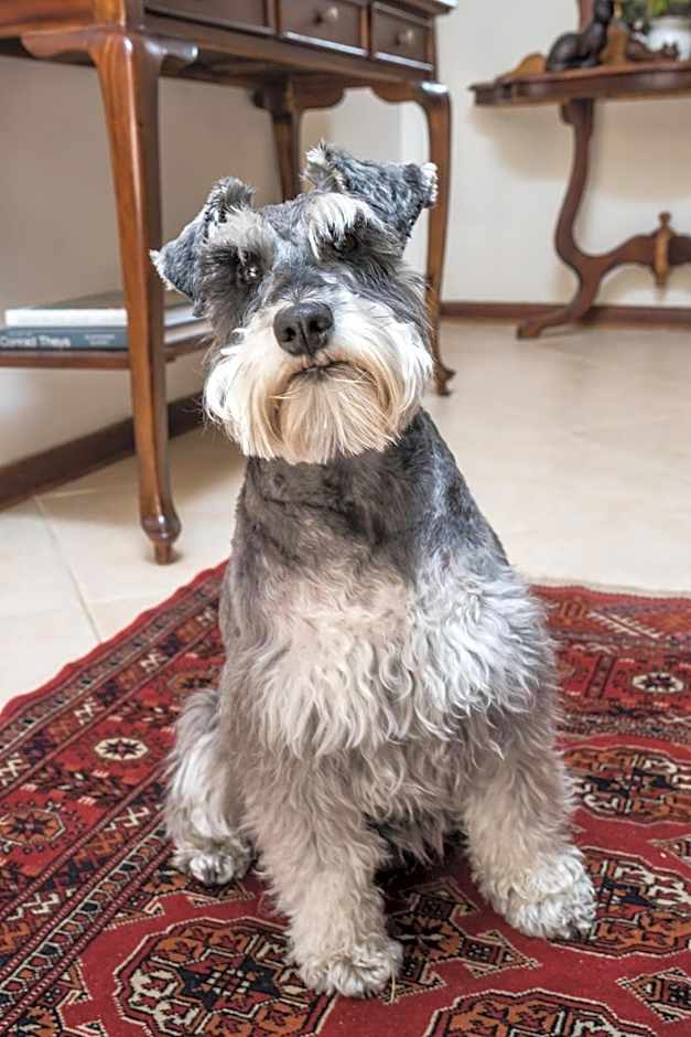 Blaauwheim Guest House