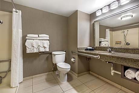 King Suite - Accessible/Non-Smoking