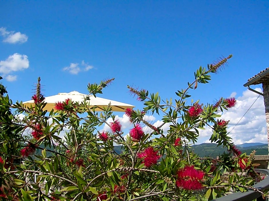 B&B La Terrazza Del Subasio