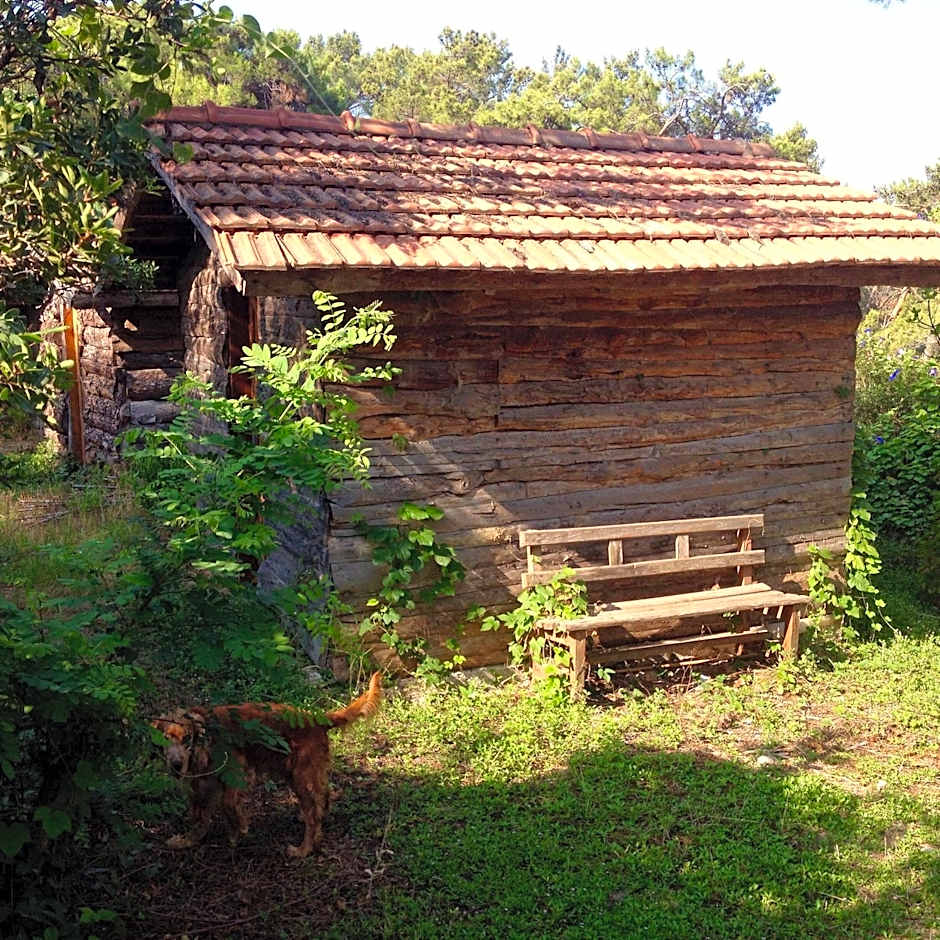 HavaSuPark Bungalows