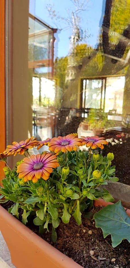 Agriturismo La Mandragola Relais