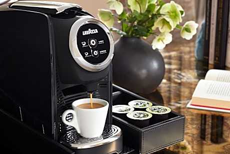 Suite, 1 Bedroom (1 King Bed)