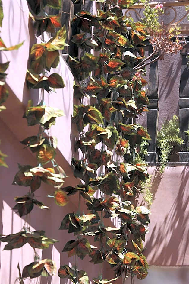 Riad Mille Et Une Nuits