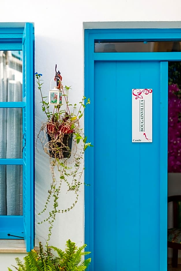 Cypriot Swallow Boutique Hotel