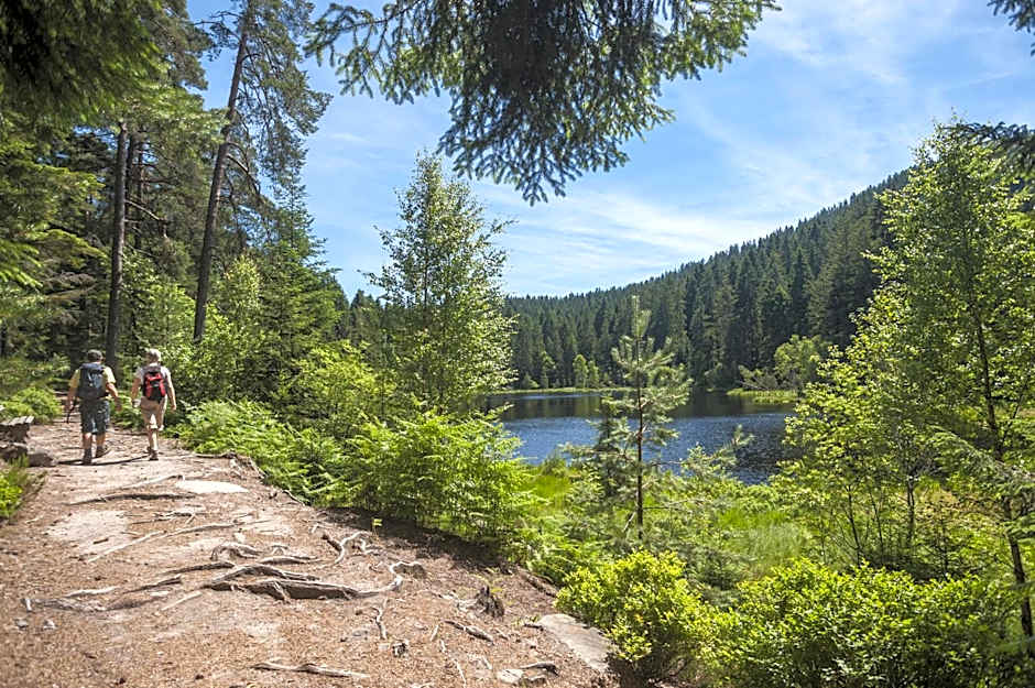 Schwarzwaldhotel Oberwiesenhof