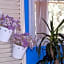 Hotel Il Timone
