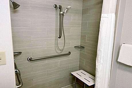 Room, 1 King Bed with Sofa bed (Mobility/Hearing Access, Roll-In Shwr)