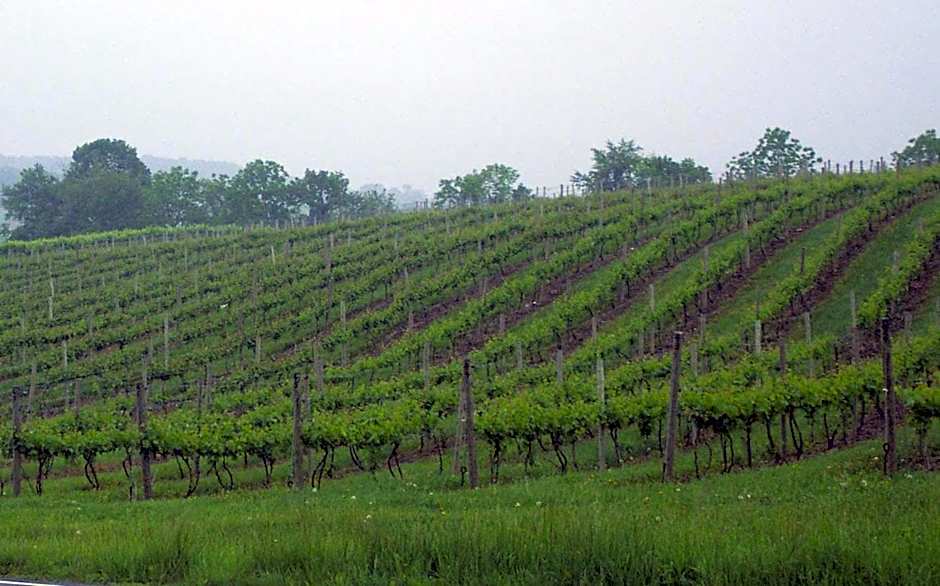 Hampton Inn By Hilton Danville