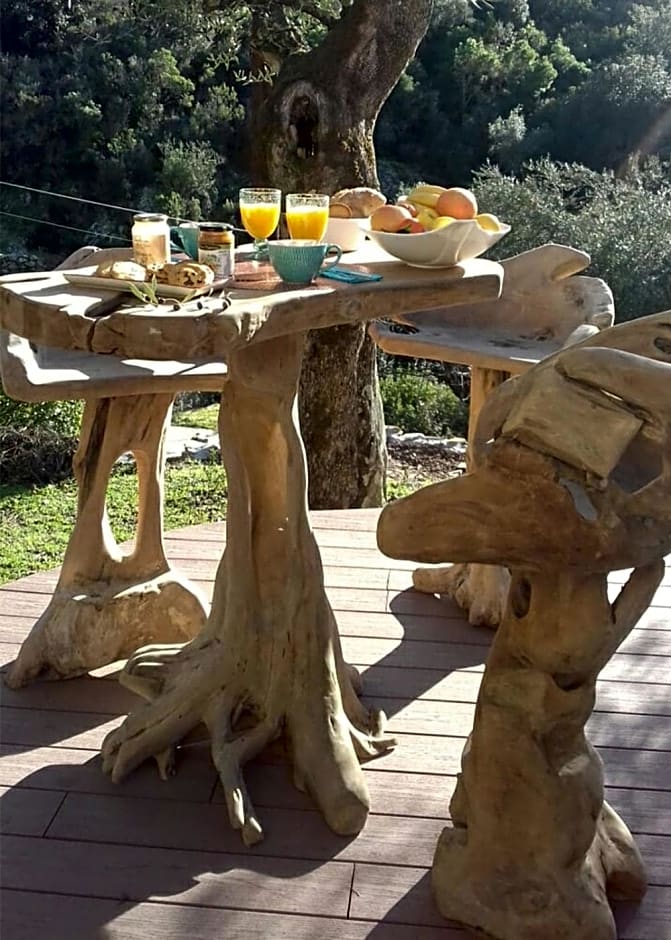 L'oliveraie du Fango