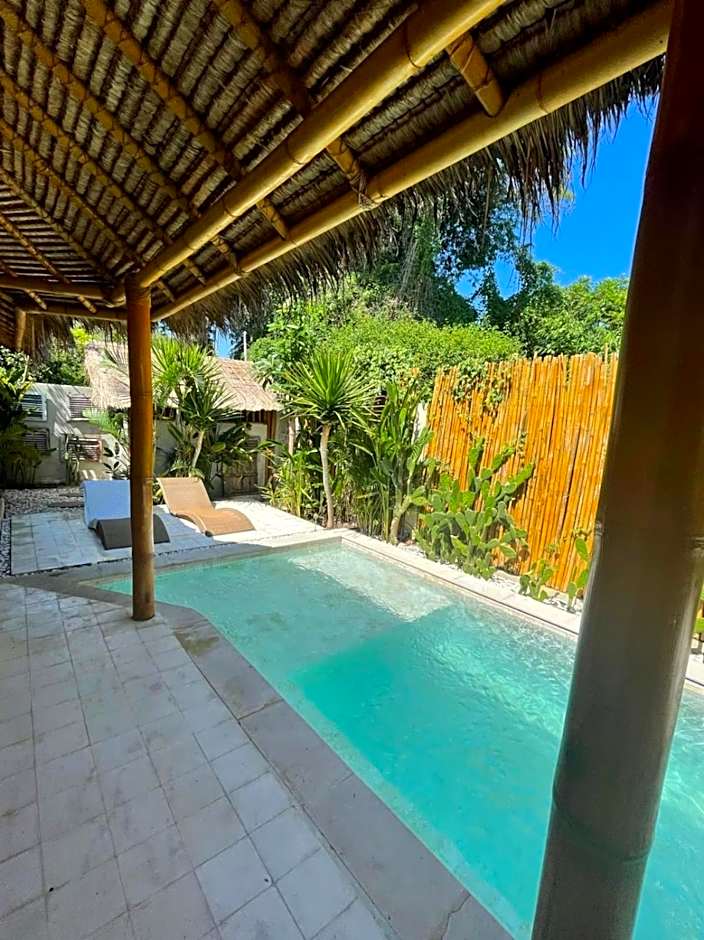 Tipsea Turtle Gili Air