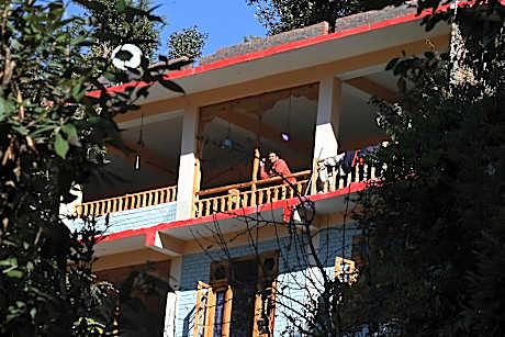 Mozo- tree house hostel