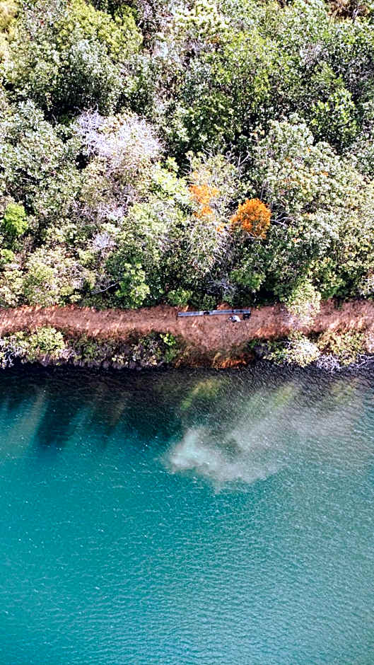 Hotel Vegano Bona Espero