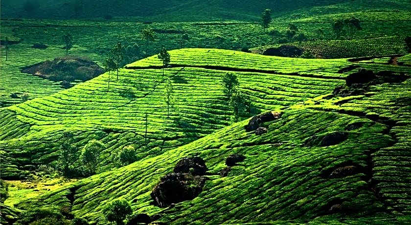 Clouds Valley Leisure Hotel