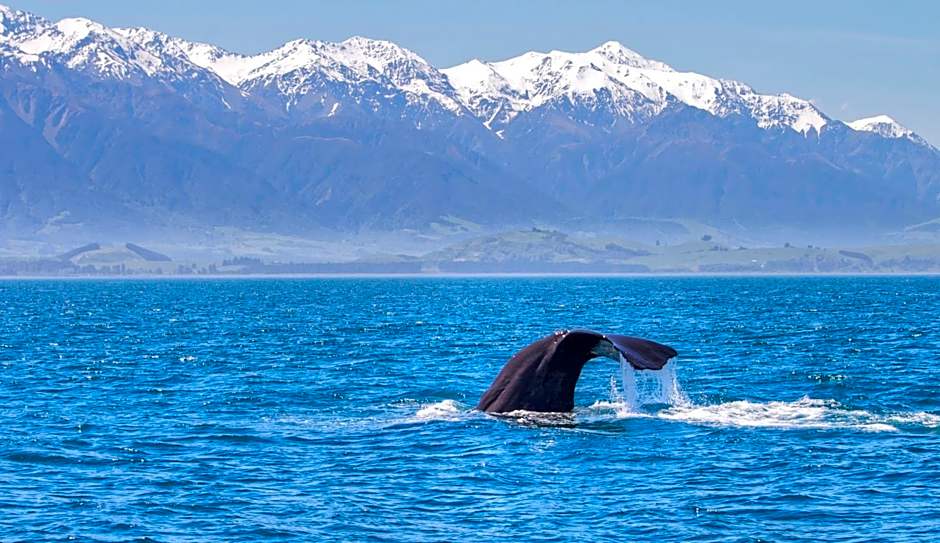 The Factory Luxury Accomodation