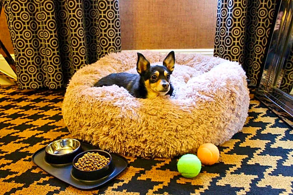 Ameritania at Times Square